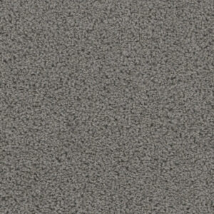 Dreamweaver Carpet Sweepstakes Bayside Carpet 2200_956