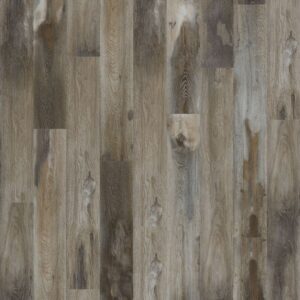 Mohawk SolidTech Select Explorer's Cove Raccoon 7"