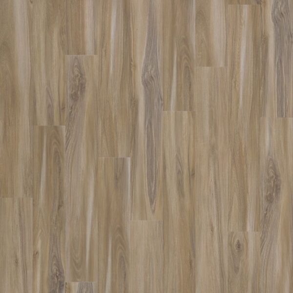 Mohawk SolidTech Select Explorer's Cove Sandy Valley 7"