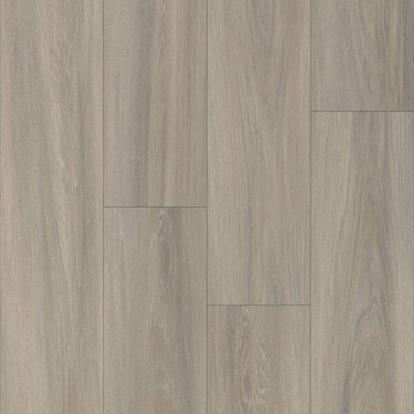 Happy Feet Black Label Collection Pinnacle Hf1204 Normandy