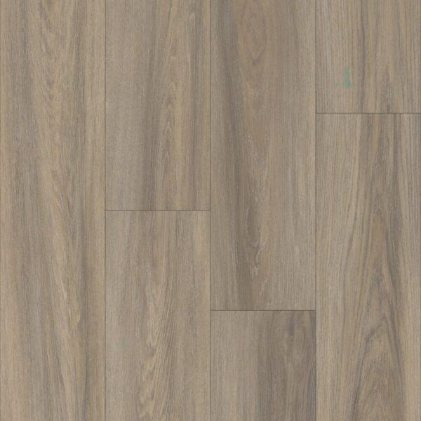 Happy Feet Black Label Collection Pinnacle HF1205 Sussex