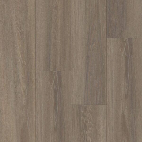 Happy Feet Black Label Collection Pinnacle HF1206 Westminister