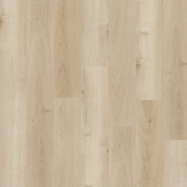 Nova Floor Dansbee Glue Down Luxury Vinyl Plank