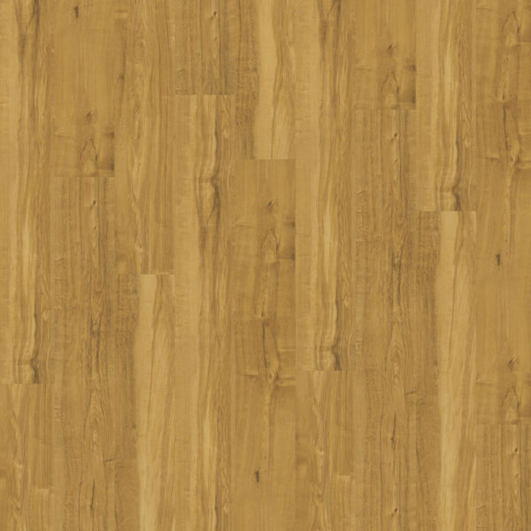 Nova Floor Lyndon Plus Glue Down Apple Caramel
NEP004