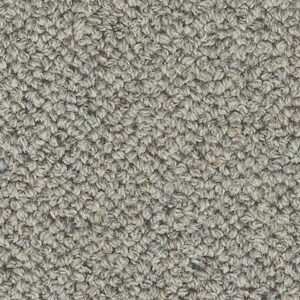 Karastan Newhaven Wool CarpetIron Gate 9968