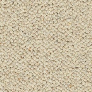 Karastan Newhaven Wool Carpet Atrium 9718