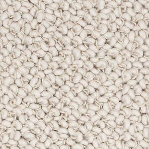 Karastan Designer Elegance Wool Carpet New Neutral 9131