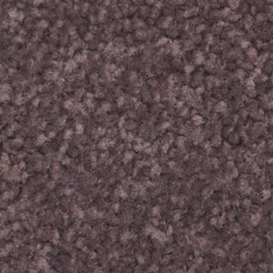 Karastan True Admiration Kashmere Carpet Paris 9464