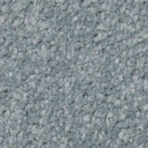 Karastan True Admiration Kashmere Carpet Waterfront 9568