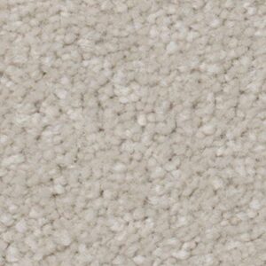 Karastan True Admiration Kashmere Carpet Studio 9730