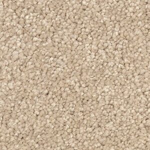 Karastan True Admiration Kashmere Carpet Veranda 9739