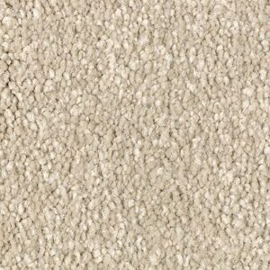 Karastan True Admiration Kashmere Carpet Essence 9827