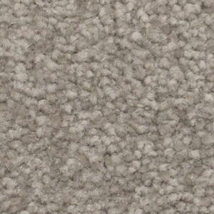 Karastan True Admiration Kashmere Carpet Contempo 9830