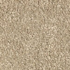 Karastan True Admiration Kashmere Carpet Nutria 9848