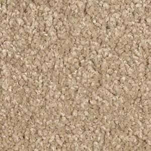 Karastan True Admiration Kashmere Carpet Tapestry 9858