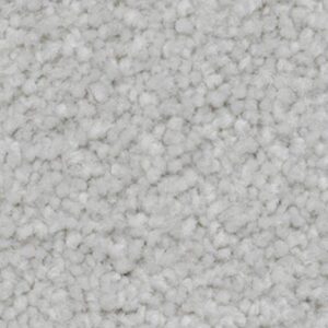 Karastan True Admiration Kashmere Carpet Hearthstone 9905