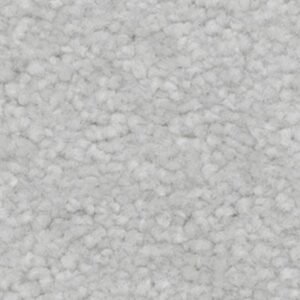 Karastan True Admiration Kashmere Carpet Haze 9919