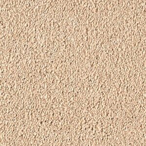 Karastan Infinite Touch Kashmere Carpet Bashful 9724