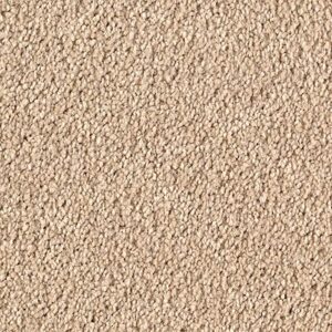 Karastan Infinite Touch Kashmere Carpet Canvas 9725
