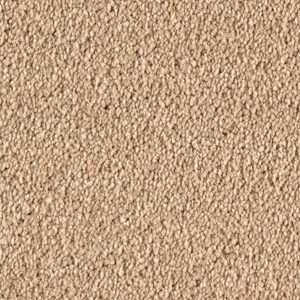 Karastan Infinite Touch Kashmere Carpet Illusion 9748