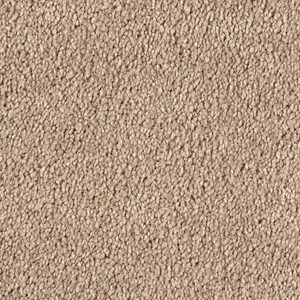 Karastan Infinite Touch Kashmere Carpet Palisade 9827