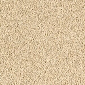 Karastan Infinite Touch Kashmere Carpet Desert Star 9856