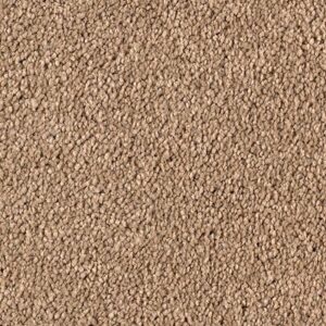 Karastan Infinite Touch Kashmere Carpet Bare Essence 9869