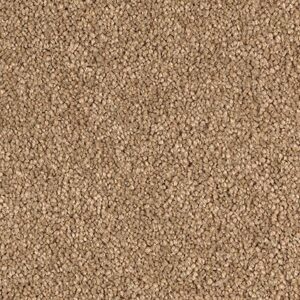 Karastan Infinite Touch Kashmere Carpet Earthtone 9875