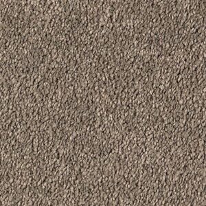 Karastan Infinite Touch Kashmere Carpet Highgate 9969