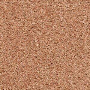 Karastan Somerset Bay Kashmere Carpet Nutmeg Frost 9232