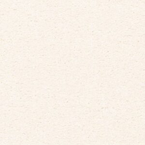 Karastan Somerset Bay Kashmere Carpet Allure 9701