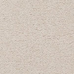 Karastan Somerset Bay Kashmere Carpet Inner Balance 9800