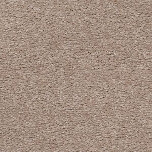Karastan Somerset Bay Kashmere Carpet Tapestry 9813