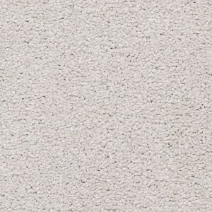 Karastan Somerset Bay Kashmere Carpet Creek Bend 9903
