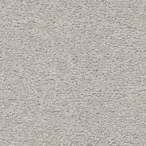 Karastan Somerset Bay Kashmere Carpet Elemental 9919