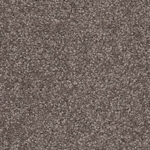 Karastan Somerset Bay Kashmere Carpet Manhattan 9952