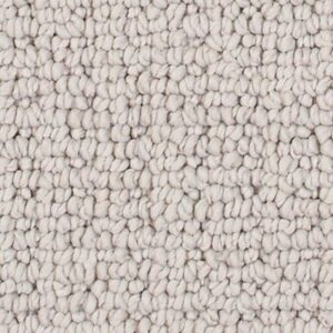 Karastan Avalon Estate SmartStrand Silk Silk Canvas 9729