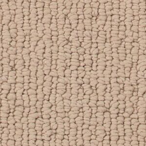 Karastan Avalon Estate SmartStrand Silk Blonde Willow 9738