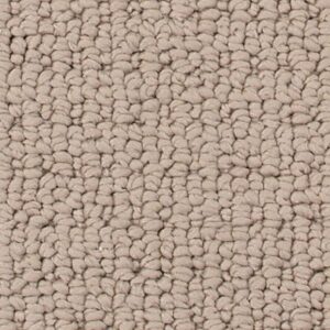 Karastan Avalon Estate SmartStrand Silk Brushwood 9755
