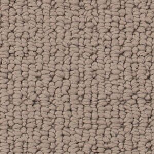 Karastan Avalon Estate SmartStrand Silk Verona 9778