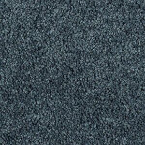 Karastan Delightful Charm SmartStrand Carpet Indigo Nights
COLOR #9595