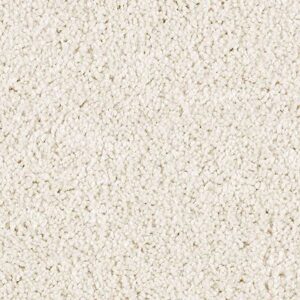 Karastan Delightful Charm SmartStrand Carpet Pearlize
COLOR #9712