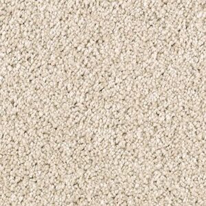 Karastan Delightful Charm SmartStrand Carpet Cuban Sand
COLOR #9722