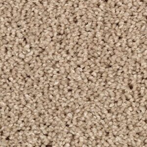 Karastan Delightful Charm SmartStrand Carpet Cross Country
COLOR #9727