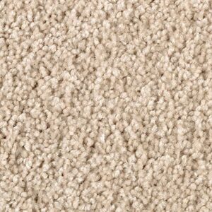 Karastan Delightful Charm SmartStrand Carpet Rice Cake
COLOR #9728