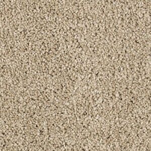 Karastan Delightful Charm SmartStrand Carpet Blonde Willow
COLOR #9731