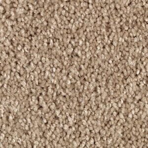 Karastan Delightful Charm SmartStrand Carpet Sugar Cone
COLOR #9736