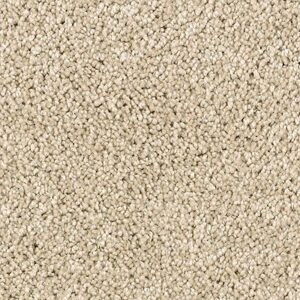 Karastan Delightful Charm SmartStrand Carpet Potter's Clay
COLOR #9738