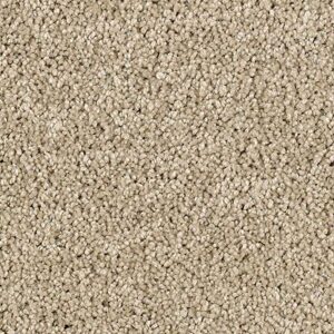 Karastan Delightful Charm SmartStrand Carpet Swiss Almond
COLOR #9748