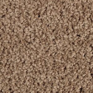 Karastan Delightful Charm SmartStrand Carpet Timberlane
COLOR #9758